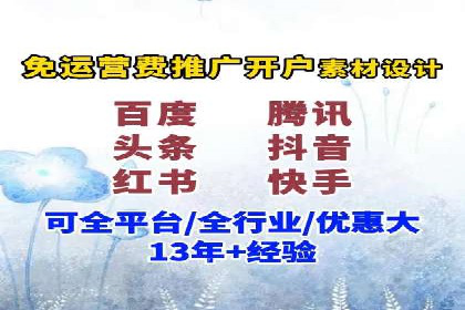 某电商平台的SEM广告投放策略及效果评估