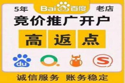 某企业通过SEM竞价推广实现业绩翻倍的秘诀